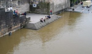 JO Paris 2024 : « Des résultats alarmants » pour la baignade dans la Seine