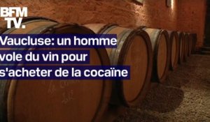 Vaucluse: un homme volait du vin dans le domaine viticole où il travaille pour s'acheter de la cocaïne