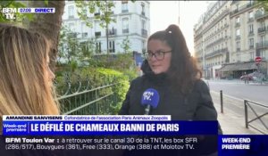 "Se faire de l'argent sur le dos des animaux, ce n'est pas les aimer": l'association Paris Animaux Zoopolis régit au défilé de chameaux à Paris
