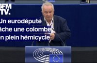 Un eurodéputé lâche une colombe en plein hémicycle