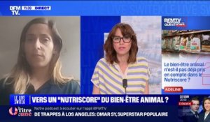 "Nutriscore" du bien-être animal: quels seront les critères ? BFMTV répond à vos questions