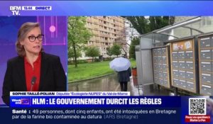 Projet de loi sur les logements sociaux: "Monsieur Kasbarian est le ministre pour que les gens n'aient plus de logement", estime Sophie Taillé-Polian (EELV)