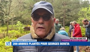 Une plantation d'arbres en hommage à Georges Bereta