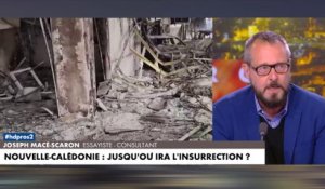 Joseph Macé-Scaron : «Je pense que l'urgence, aujourd'hui, c'est de suspendre ce texte (...) il faut céder»