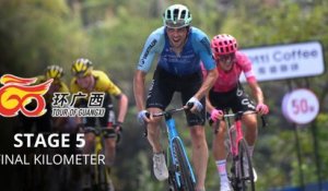 Cyclisme - Tour de Guangxi 2025 - La surprise Paul Double sur la 5e étape reine en Chine, Victor Lafay encore si près