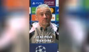 PSG - Luis Enrique : "Bien sûr que Kolo Muani a le niveau !"