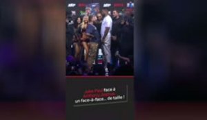 Boxe - Jake Paul contre Anthony Joshua, un face-à-face... de taille !