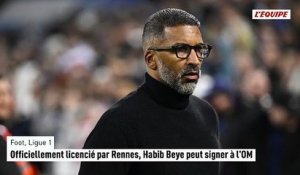 Officiellement licencié par Rennes, Habib Beye peut signer à l'OM - Foot - Ligue 1