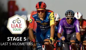 UAE Tour 2026 - Étape 5 - Jonathan Milan s'impose à nouveau sur la 5e étape