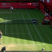 Queen's - Vekic rejoint le dernier carré