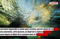 Un homme de 42 ans meurt en effectuant le parcours de l'Ironman de Nice malgré l'annulation de l'épreuve - Triathlon - IronMan de Nice