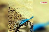 Des dessins géants éphémères : le bel hommage d'un artiste à Charlie Dalin sur la plage des Sables-d'Olonne - Voile