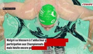 Léon Marchand sera bien présent aux Championnats d'Europe : « J'ai quand même un peu galéré » - Natation - Championnats d'Europe