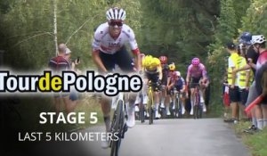 Tour de Pologne 2026 - Étape 2 - Jan Christen s'offre la 5e étape, trois français dans le top 5