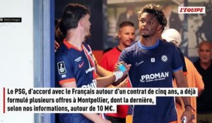 Mercato : le PSG espère Laciné Megnan-Pavé, jeune attaquant de Montpellier - Foot - Transferts