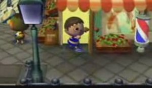 Animal Crossing Wii