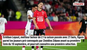 Zinédine Zidane pré-convoque le Rennais Estéban Lepaul pour sa première liste - Foot - Bleus