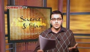 Introduction aux sciences islamiques