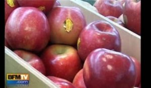 Les fruits et légumes français plus chers que les importations