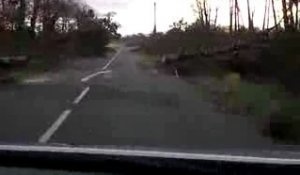 Sur une route des Landes, le lendemain de la tempête