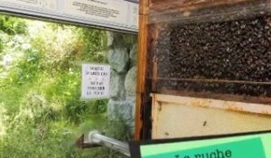 Le pavillon des abeilles de Cauterets