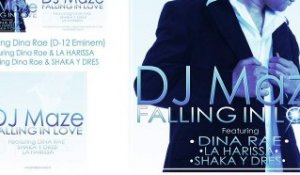 DJ MAZE: FALLING IN LOVE Feat Dina Rae &  La Harissa