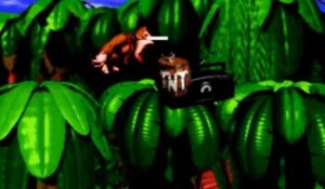 Hellcat présente : Donkey Kong Country (Super NES)