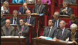 Questions au gouvernement du 28 septembre 2010 (N.MAMERE)