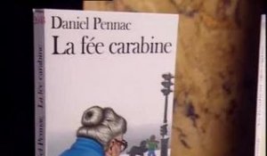 Daniel Pennac : Au bonheur des ogres, La fée carabine, La petite marchande