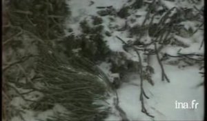 Un couple survit à une tempête de neige pendant 6 jours