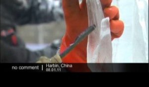 Compétition de sculptures sur glace en Chine - no comment
