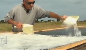 La récolte du sel en avance d’un mois (Vendée)