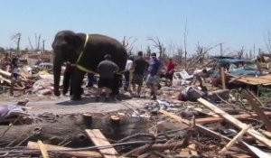 Un éléphant aide les secouristes de Joplin