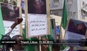 Les partisans de Khadafi manifestent devant... - no comment