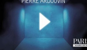 03 - Pierre Ardouvin : Purple Rain, 2011
