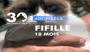 Adoptez Fifille