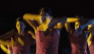 Flamenco Bande Annonce (2011)