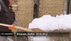Les animaux du zoo de Belgrade menacés par... - no comment
