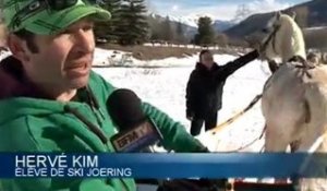 Le ski joëring, un sport alliant ski et équitation