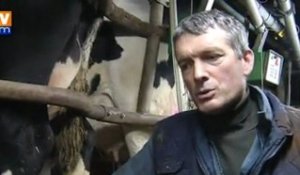 Négociations en cours pour les producteurs de lait