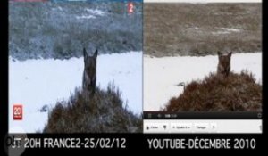 Bidonnage : quand France 2 a vu le loup ... sur Youtube