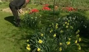 Giverny : premier printemps du nouveau chef jardinier