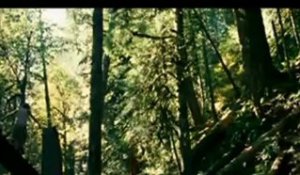 INTO THE WILD - Bande-annonce VF
