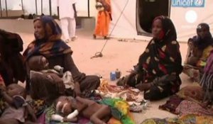 Crise alimentaire au Sahel, le Tchad en première ligne