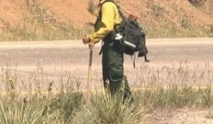 Le Colorado en proie à des feux de forêts "inouïs"