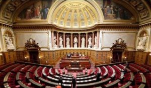 [Stop Motion] Déclaration du gouvernement au Sénat