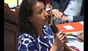 Cécile Duflot chahutée à l'Assemblée