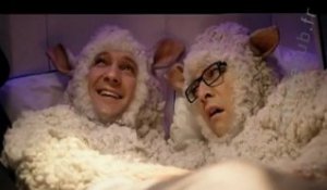 Sheep fantasize David Hasselhoff