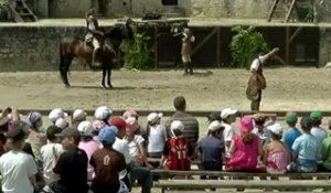 Des spectacles de faucons à Provins