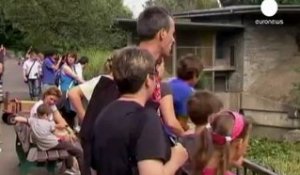 Allemagne : une employée de zoo mortellement blessée...